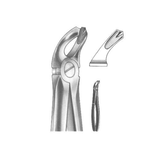 Extracting Forceps English pattern 
