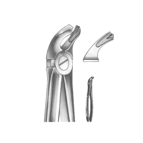 Extracting Forceps English pattern 