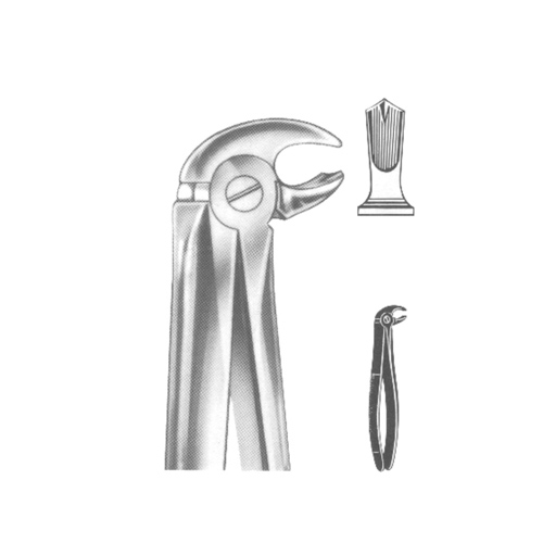 Extracting Forceps English pattern 