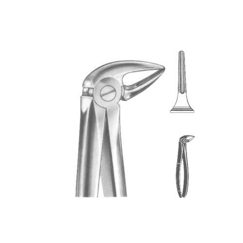 Extracting Forceps English pattern 