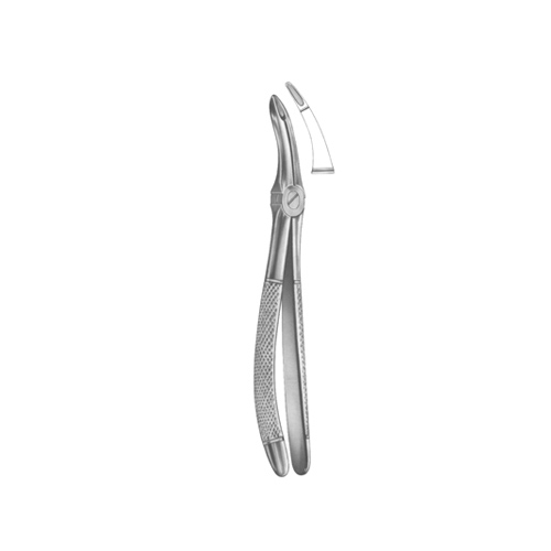 Extracting Forceps English pattern 