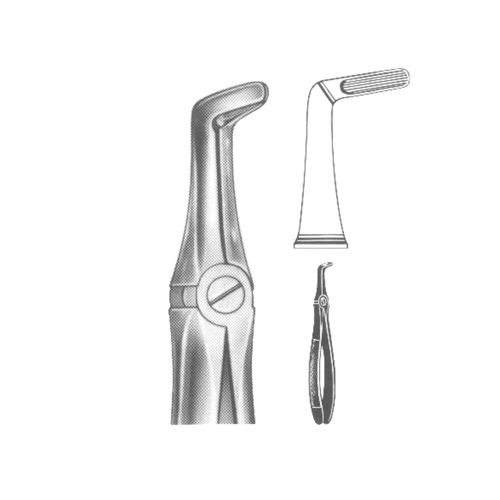 Extracting Forceps English pattern 
