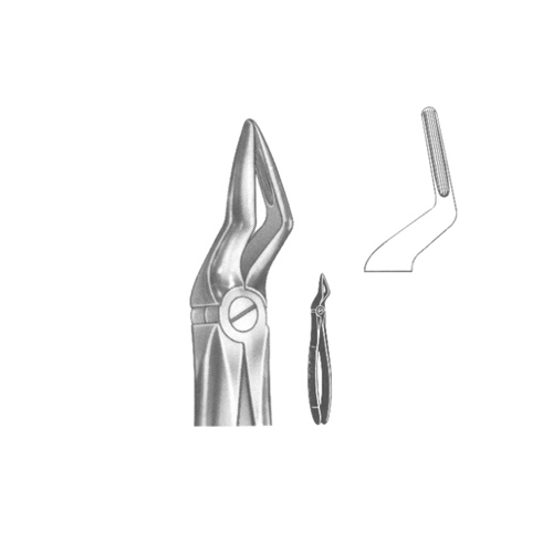 Extracting Forceps English pattern 