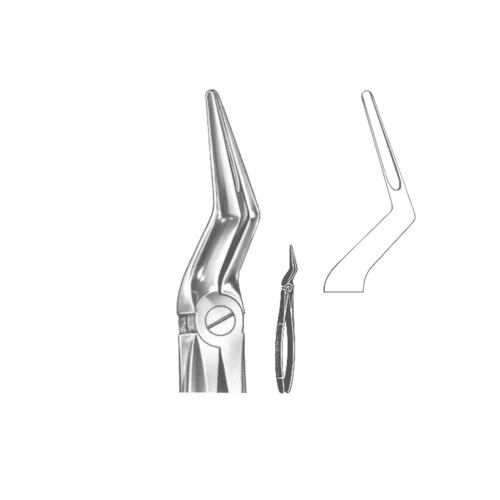Extracting Forceps English pattern