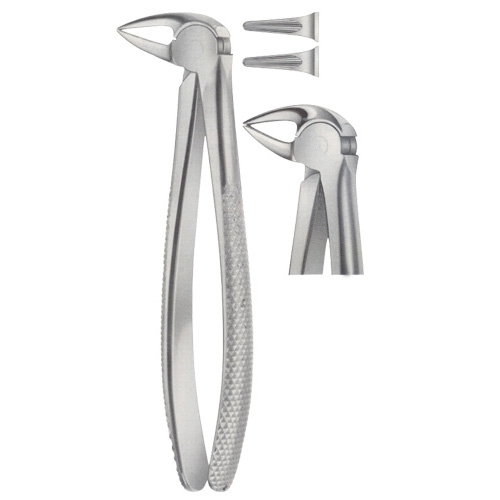 Tooth Forceps for Lower Roots Separating Forceps 