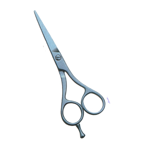 Barber & Dressing Scissors 