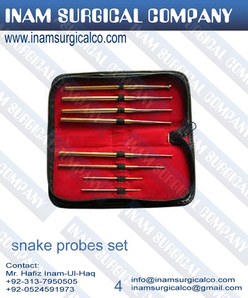 Snake probes